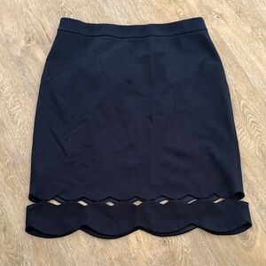 Elegant Navy Women's Skirt